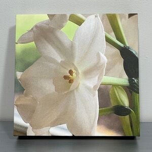 Artisan White Floral Canvas Art